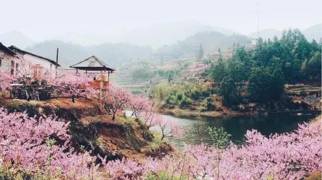 中國的桃花源和西方的烏托邦，是全人類的精神遺產(chǎn)